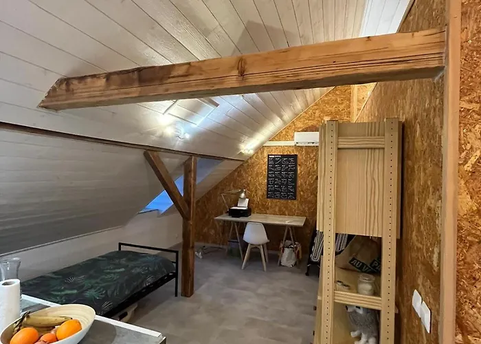 Loft Lumineux 10 Minutes Strasbourg Centre